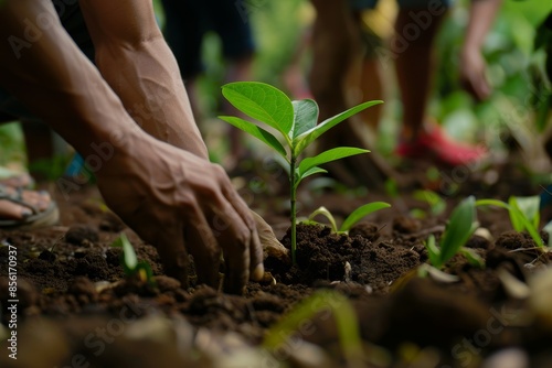 Volunteer Effort Planting Young Saplings to Combat Deforestation and Promote Environmental Sustainability