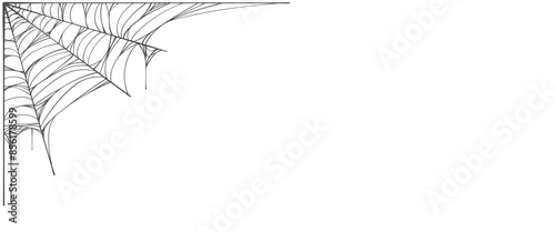 background with cobweb, Spider web line art vector eps	