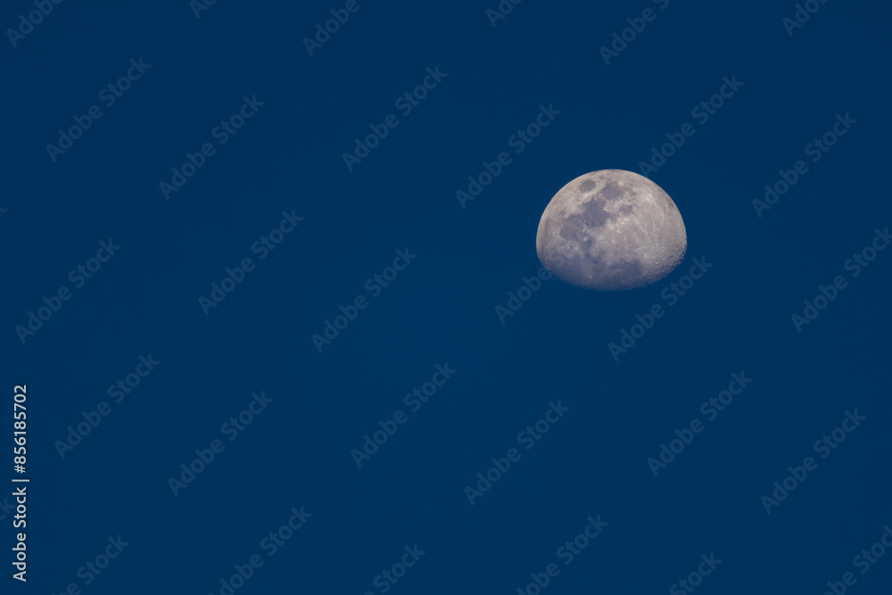 full moon in the night full moon in the night