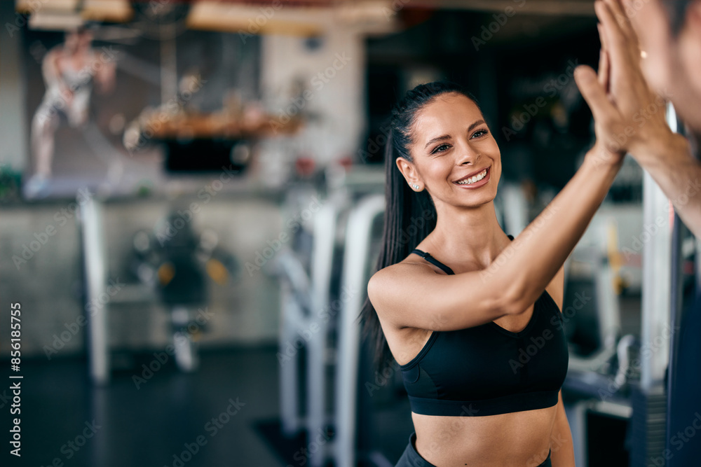 A smiling gym girl giving a high-five to her partner. A smiling gym girl giving a high-five to her partner.