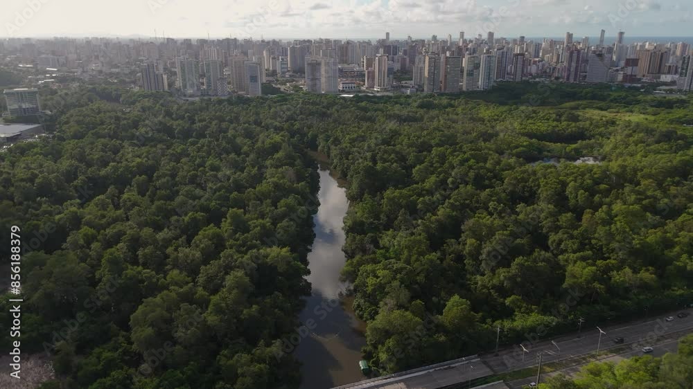 Drone sobrevoa o Rio Cocó com cidade ao fundo