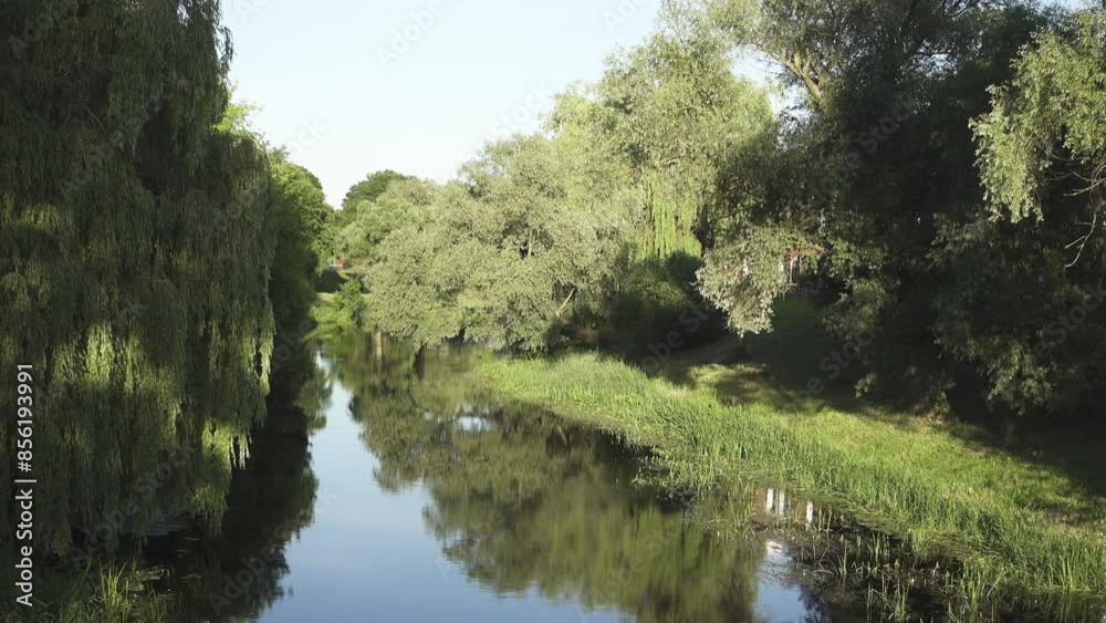 Beautiful picturesque river with summer sunny day. Swifts and swallows fly over water. Green trees stand on shore. Beautiful picturesque river with summer sunny day. Swifts and swallows fly over water. Green trees stand on shore.