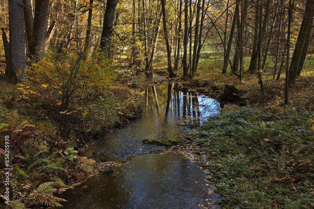Obraz premium Hiking track in public park