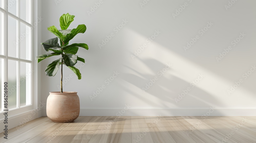 Elegant fiddle leaf fig tree in a weathered clay pot, modern farmhouse dining room with white oak floors and large windows, sunlit space Elegant fiddle leaf fig tree in a weathered clay pot, modern farmhouse dining room with white oak floors and large windows, sunlit space