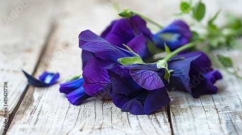 Health benefits of the beautiful butterfly pea flower photo