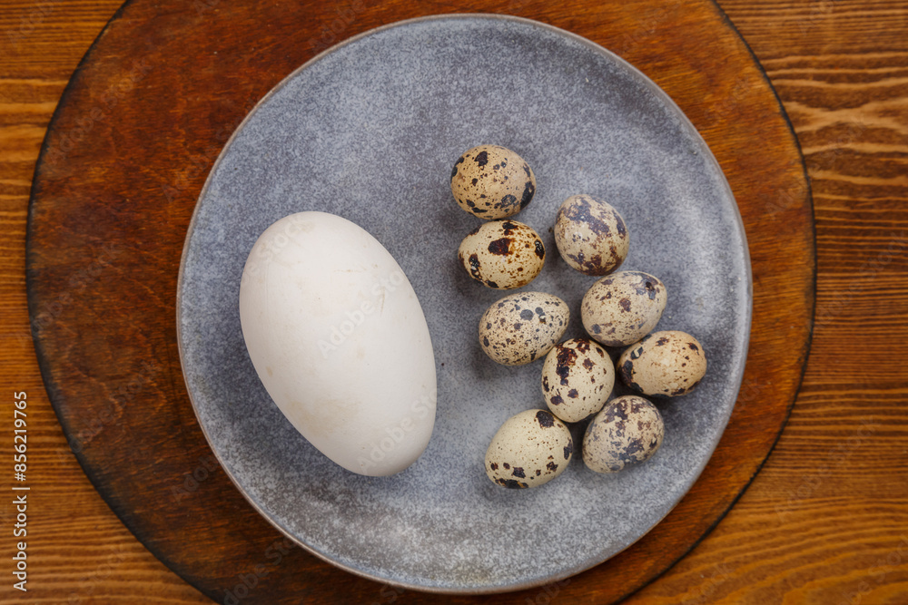 goose and quail eggs on a gray plate on a wooden stand comparison goose and quail eggs on a gray plate on a wooden stand comparison