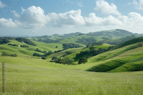 regenerative landscapes of rolling hills and green pastures, showcasing the natural abundance and vibrancy that result from sustainable farming practices such as agroforestry and rotational grazing
