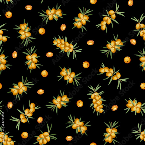 Black background with sea buckthorn.Vector pattern with sea buckthorn berries on a black background.