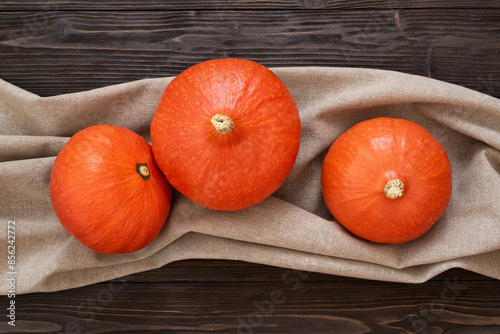 Uchiki Kuri Pumpkin Harvest photo