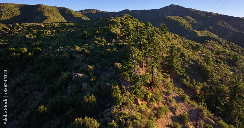Ojai California Pine Forests Matilija Wilderness Aerial 