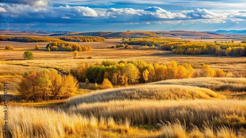Panoramic view of steppes transitioning into autumn, with golden and brown grasses, autumn, panoramic, steppes, grass