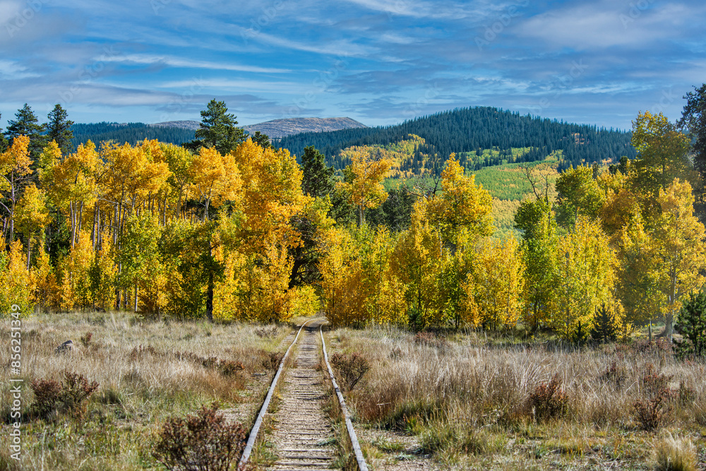 Abandon Rail Road Tracks lead to Aspen trees in fall colors Abandon Rail Road Tracks lead to Aspen trees in fall colors