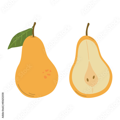 Whole and half pear isolated on white background, organic food, healthy eating, vegetarian product, pear vector flat illustration