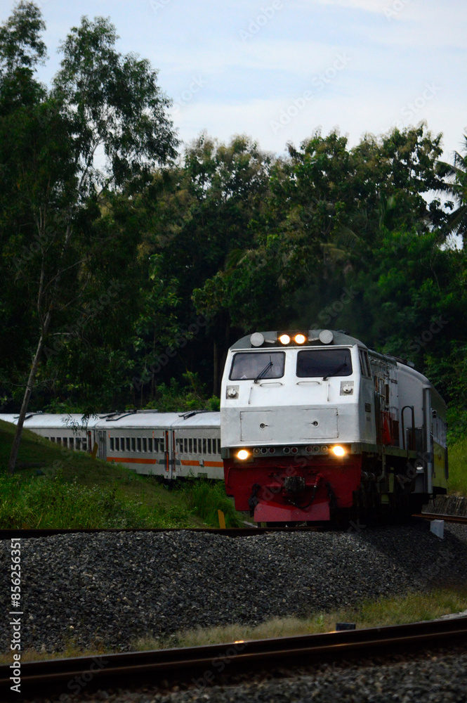Naklejka premium View of a passenger train moving in a rural or hilly area