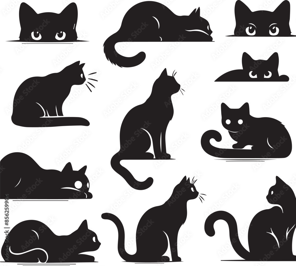 black and white cats Set black and white cats Set