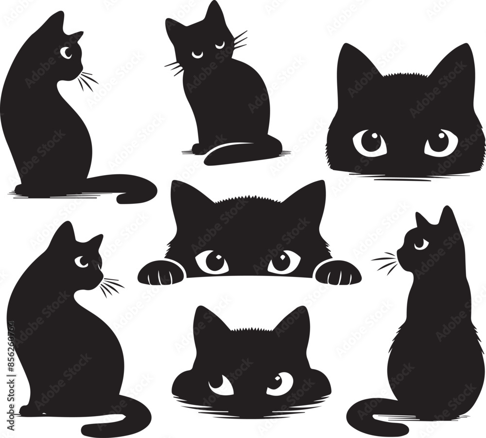 black and white cats Set black and white cats Set