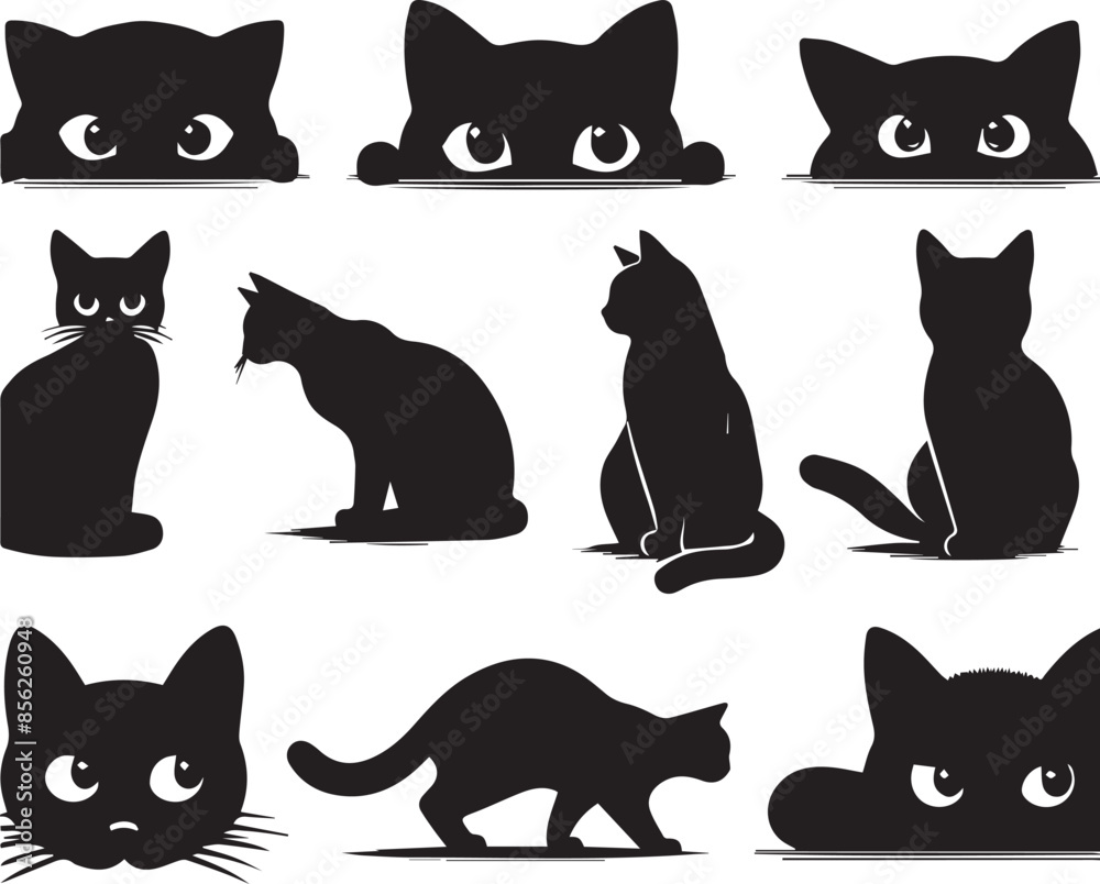 black and white cats Set black and white cats Set
