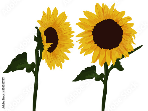 Illustration de tournesols vecteur