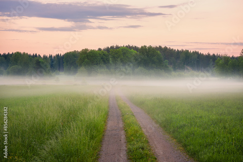 Fotografija Misty morning in the field with fog