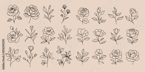 Collection of minimalistic floral line art set.  Collection flowers and leaves on a beige background.