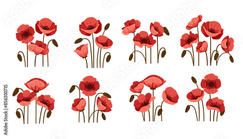 Red poppy flower vector illustration set with a simple design, isolated on a white background
