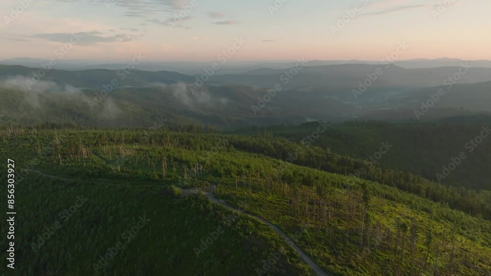 Silesian Beskids mountains in summer afternoon. Green trees and colors of sunset Silesian Beskids mountains in summer afternoon. Green trees and colors of sunset