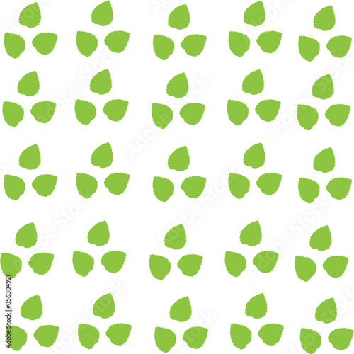 A set of fresh green mint leaves. Vector illustration.