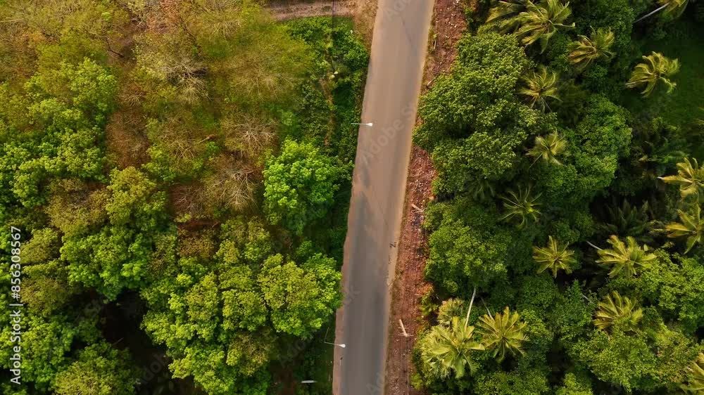 Aerial view of the road with cars passing by In the countryside with green forest and mountains. Footage of the road outside the city and the large forest. Top view video for use background, natural Aerial view of the road with cars passing by In the countryside with green forest and mountains. Footage of the road outside the city and the large forest. Top view video for use background, natural