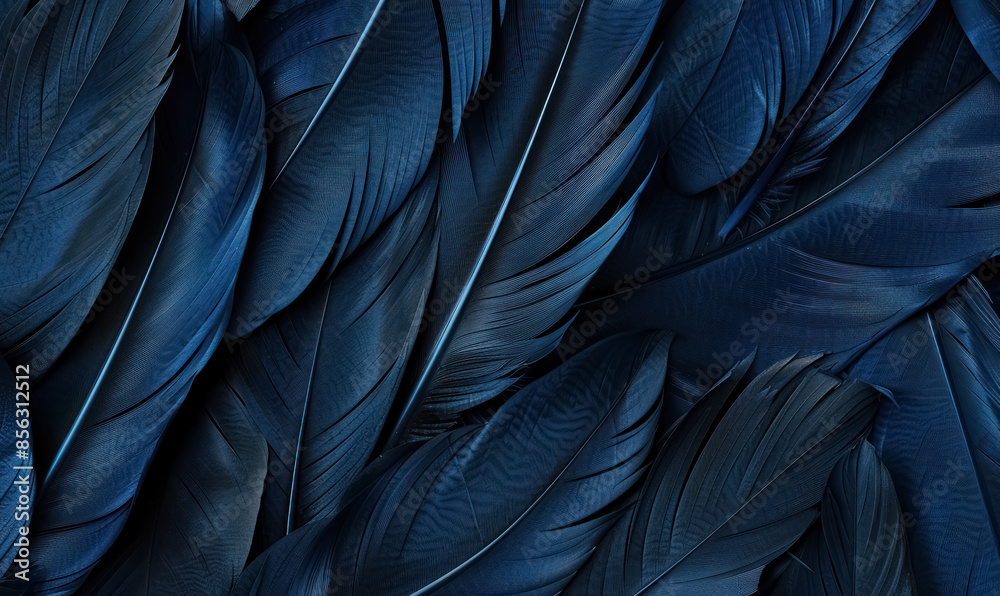 elegant dark blue navy feathers pattern on deep background elegant dark blue navy feathers pattern on deep background
