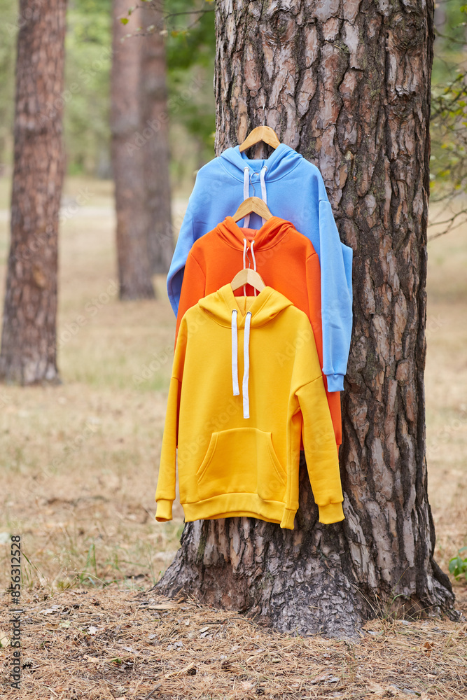 Several multicolored hoodies hang on hangers in a tree. Several multicolored hoodies hang on hangers in a tree.