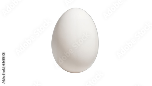 white egg  isolated on white background , transparent png image