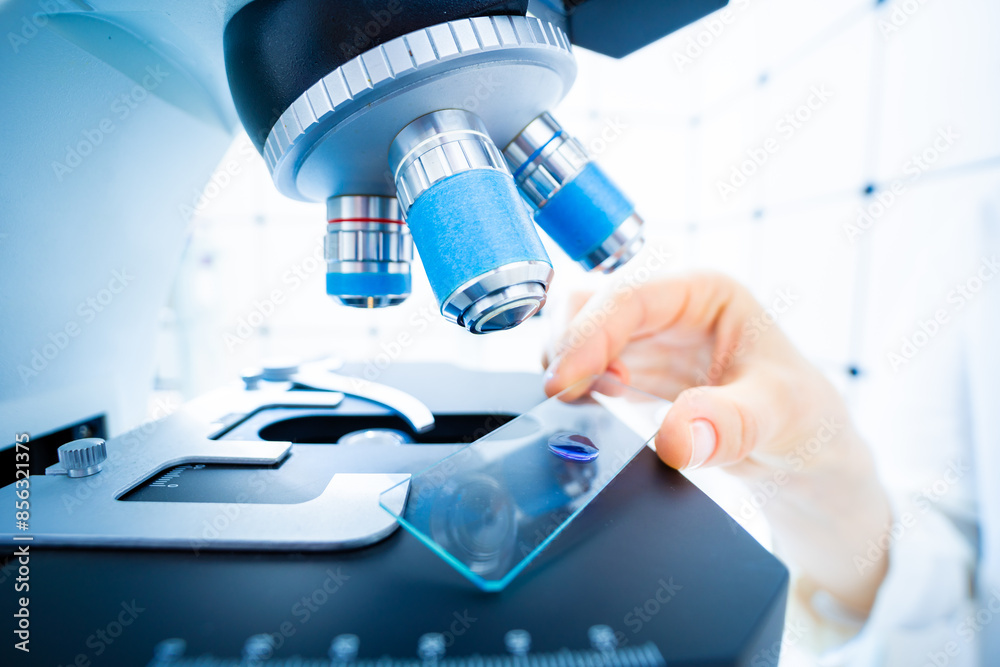 slide under microscope lenses in laboratory slide under microscope lenses in laboratory