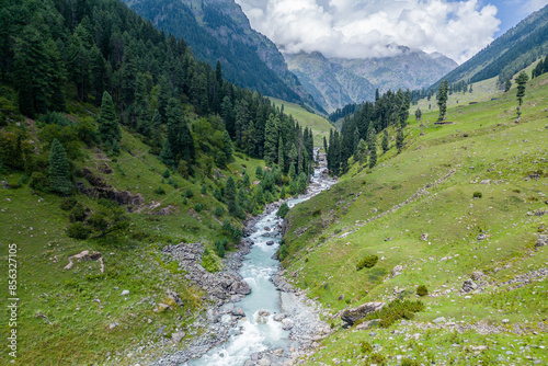 A river runs through a green forest in the Himalayas, highlighting its natural beauty, Kashmir, India
