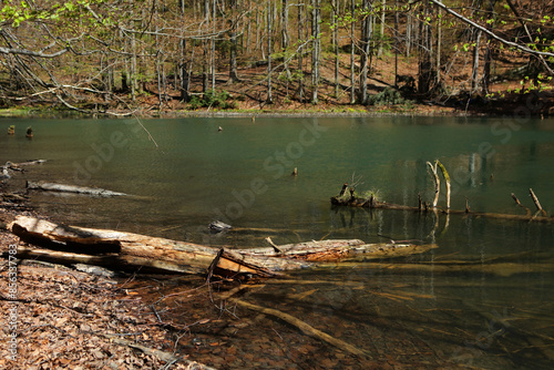 Fototapeta Naklejka Na Ścianę i Meble -  Landscape of Duszatyn lakes in Bieszczady Mountains, Poland

