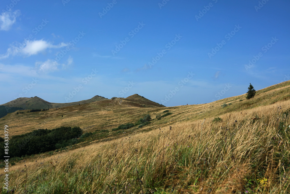 Fototapeta premium Polonina Wetlinska in Bieszczady Mountains, Poland