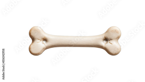 bone of dog isolated on white background , transparent png image photo