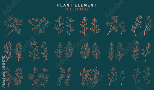 Floral branch and minimalist leaves for logo or tattoo. Hand drawn line wedding herb, elegant wildflowers. Minimal line art drawing for print, cover or wallpaper