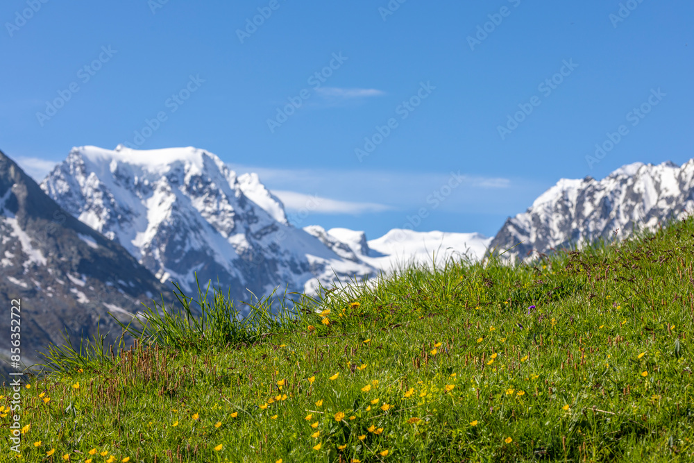 Fototapeta premium valais suisse 