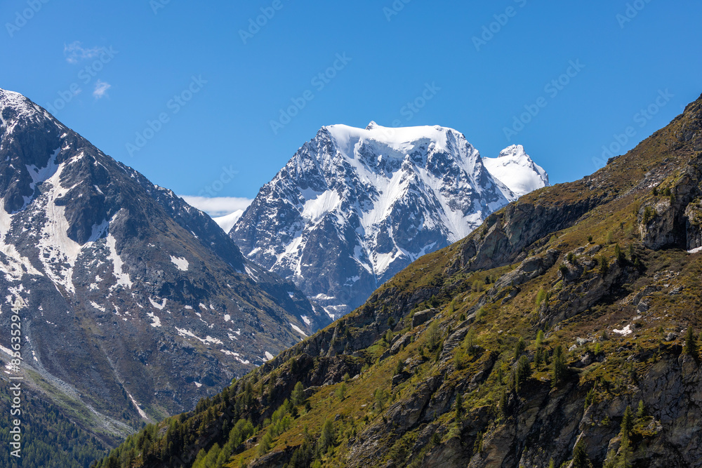 alpes suisse alpes suisse