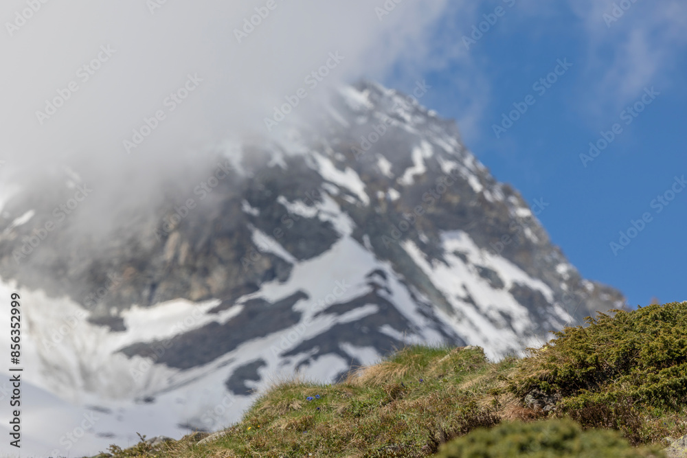 Fototapeta premium landscape with snow