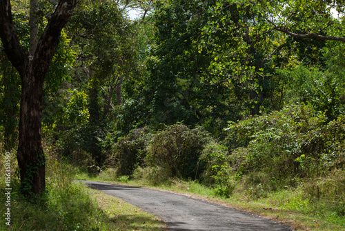  road crossing the 