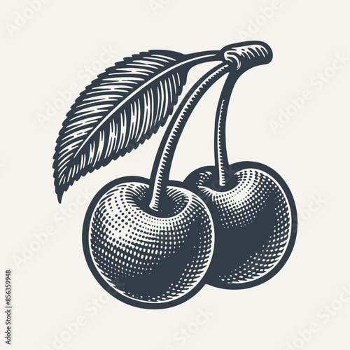 Cherries with Leaf. Vintage woodcut engraving style vector illustration.ai