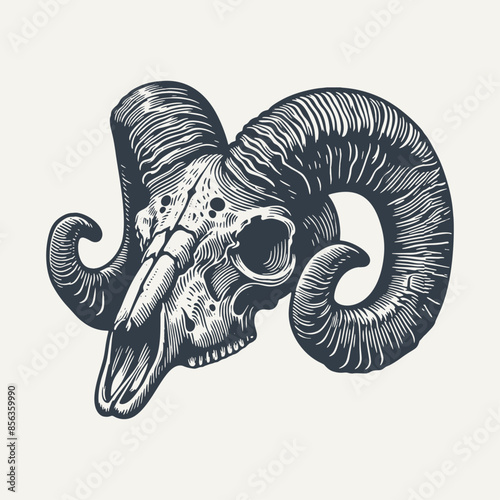 Goat Skull. Vintage woodcut engraving style vector illustration