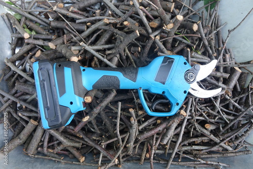 Pruning trees with electric pruning shears branch cutter automatic with battery to easyprune branches of trees. Gardening electric tool equipment.
