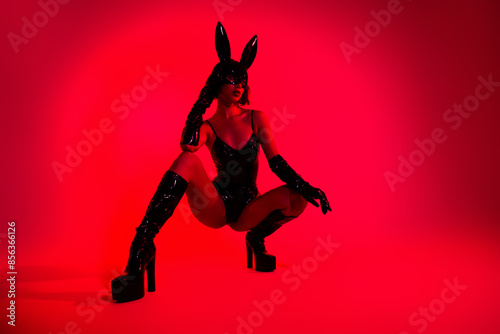 Obraz na plátně Photo of strip lady sit pose wear rabbit leather costume isolated red color back