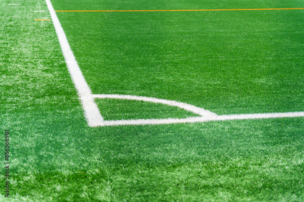Fototapeta premium ラインのあるサッカーグラウンド