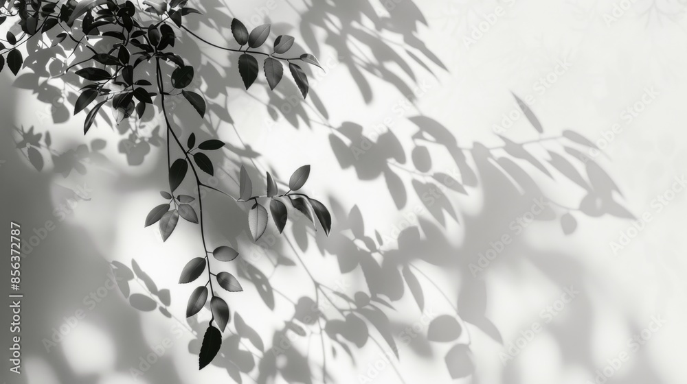 Shadow of Leaves on a White Wall, Generative AI Shadow of Leaves on a White Wall, Generative AI