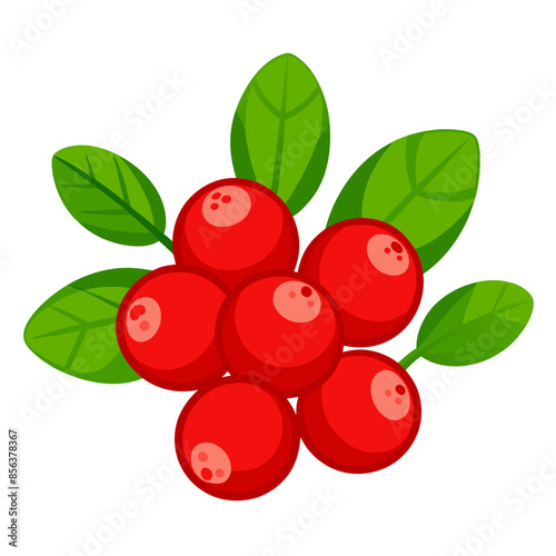 Fresh lingonberries with green leaves, showcasing their vibrant red color and round shape.