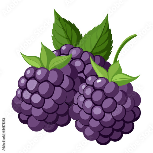 Fresh blackberries with green leaves, showcasing their deep purple color and plump texture.