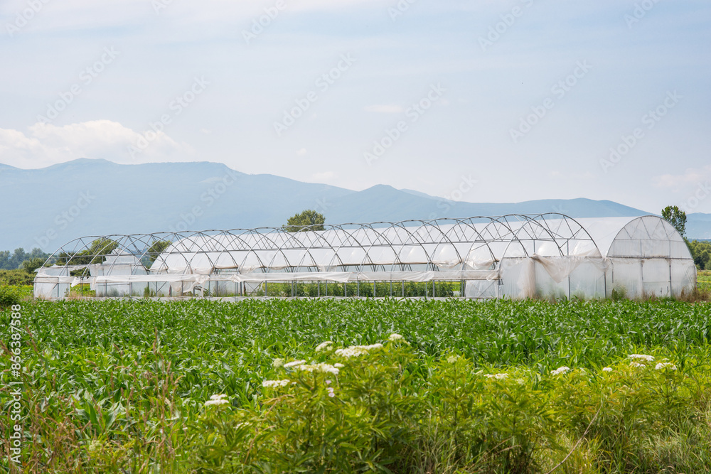 greenhouses in village of Radoste in Kosovo greenhouses in village of Radoste in Kosovo